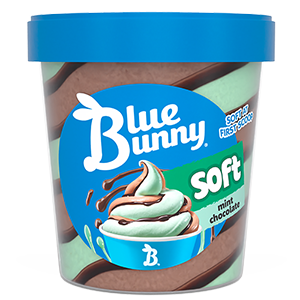 Soft Pints Mint Chocolate